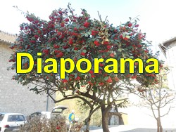 lasone_diaporama